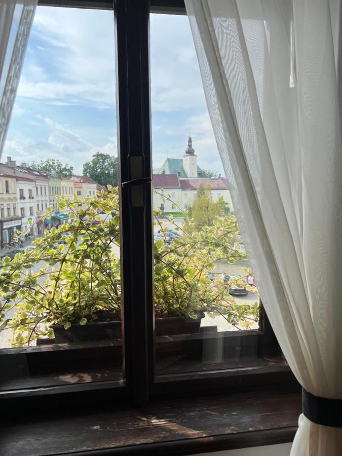 Hotel Maxim Frýdek-Místek エクステリア 写真
