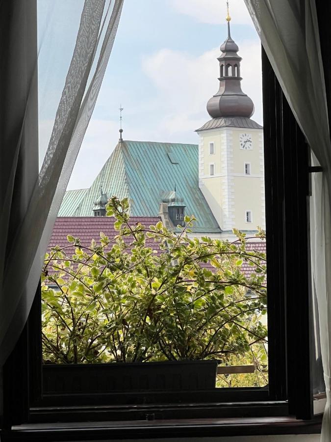 Hotel Maxim Frýdek-Místek エクステリア 写真