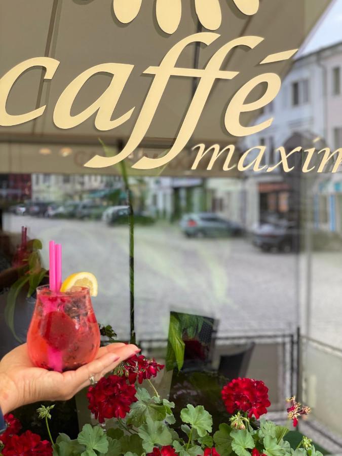 Hotel Maxim Frýdek-Místek エクステリア 写真