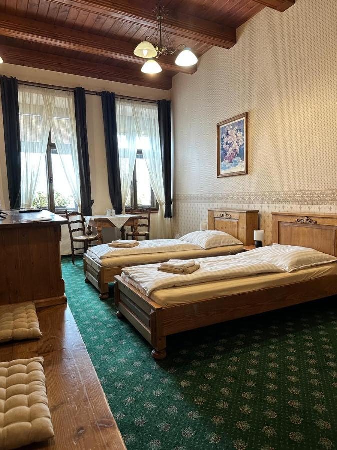 Hotel Maxim Frýdek-Místek エクステリア 写真