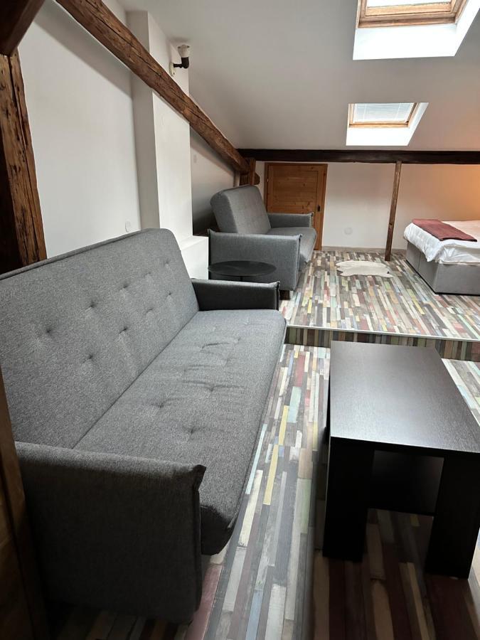 Hotel Maxim Frýdek-Místek エクステリア 写真